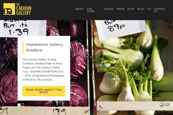 caravan-gallery theme websites examples