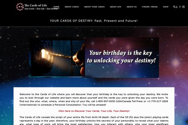 Screen1.4 theme websites examples
