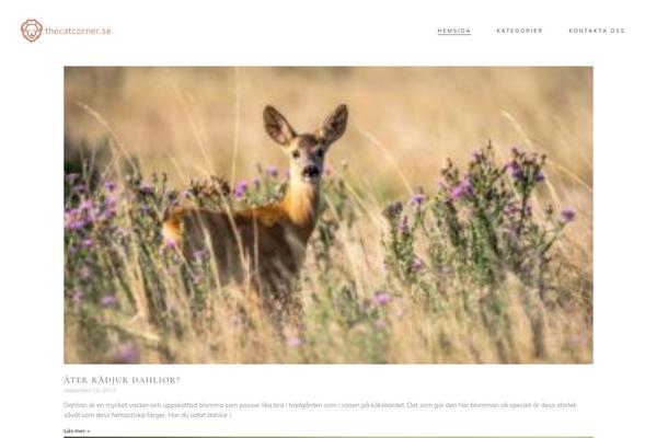 Site using Solene-core plugin