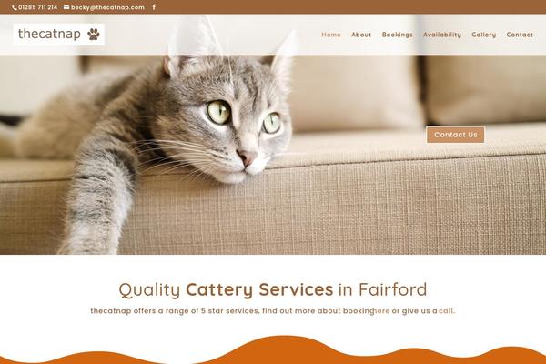 Site using Divi-pixel plugin