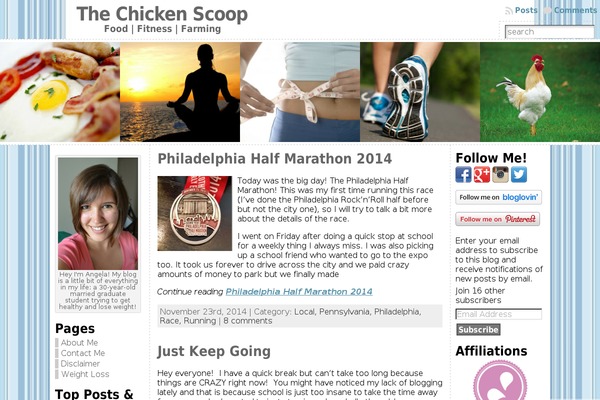 Site using Pinterest-follow-button plugin
