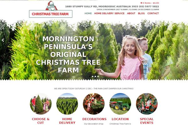 ticktock theme websites examples