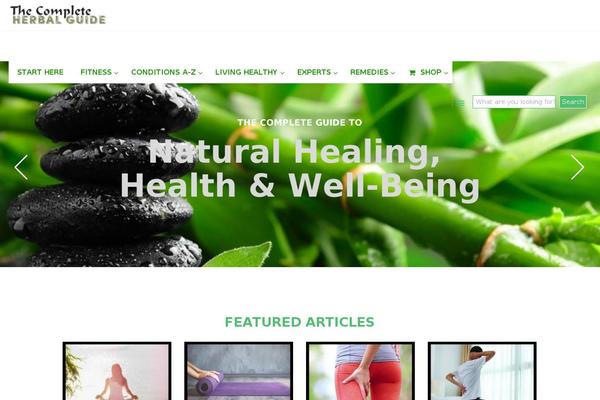 Wellspring theme site design template sample