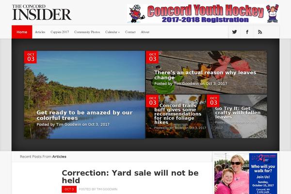 Nexus Child theme site design template sample