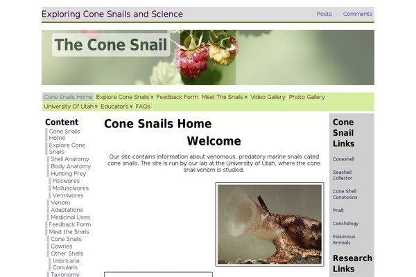 Pen theme site design template sample