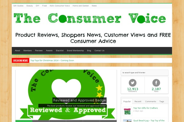Sahifa theme site design template sample