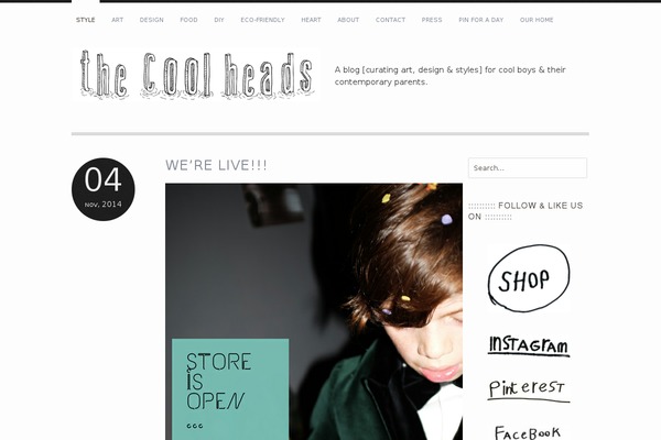 Site using Pinterest-follow-button plugin