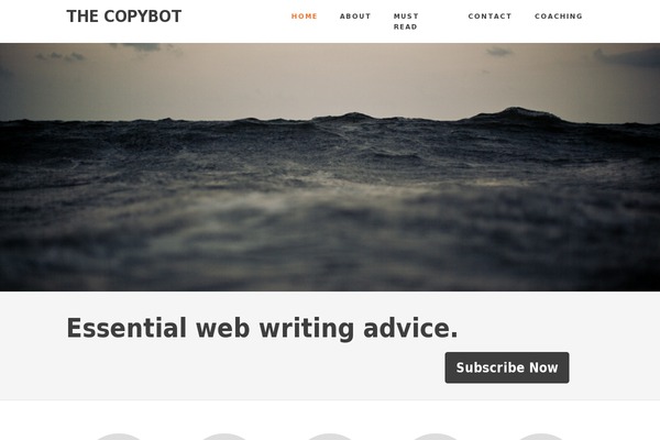 thecopybot.com site used Minimum Pro