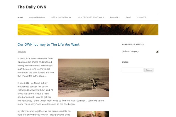 Anissa theme site design template sample