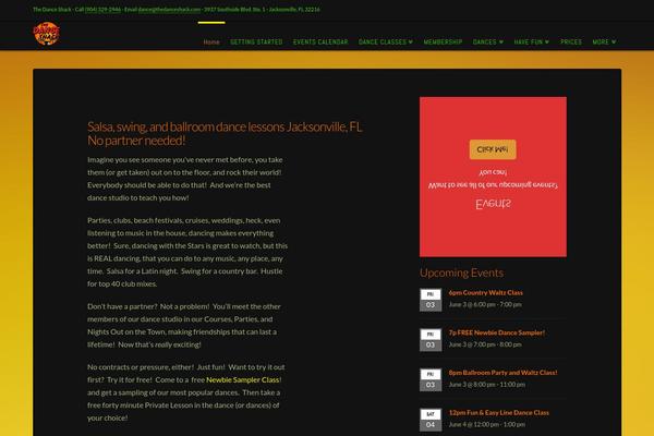 Divi Child theme site design template sample