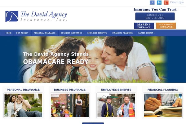 david-theme theme websites examples