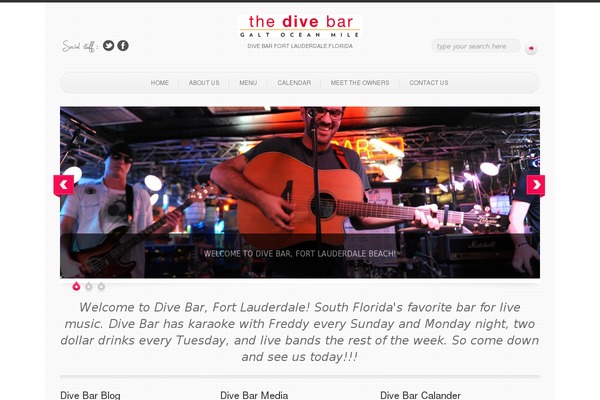 thedivebarfl.com site used Newz