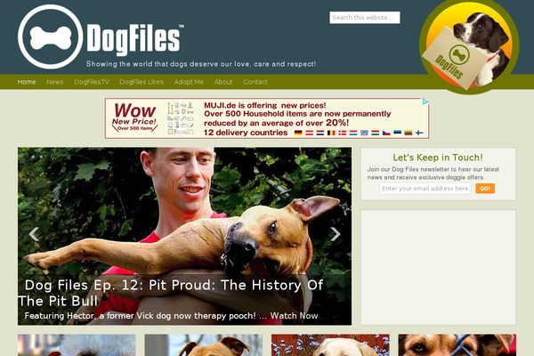 Site using SendinBlue Subscribe Form And WP SMTP plugin
