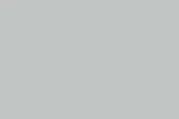 Site using Wolf-tour-dates plugin
