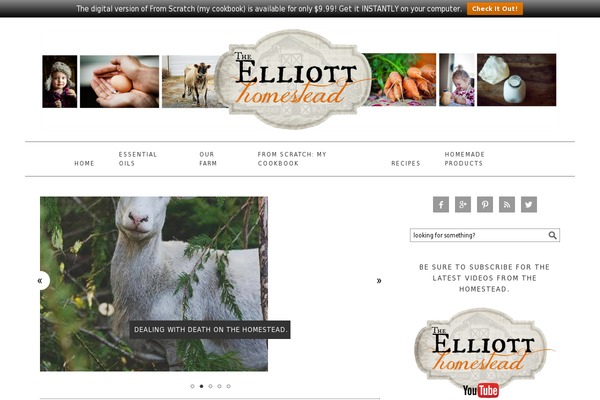 Site using Block-gallery plugin