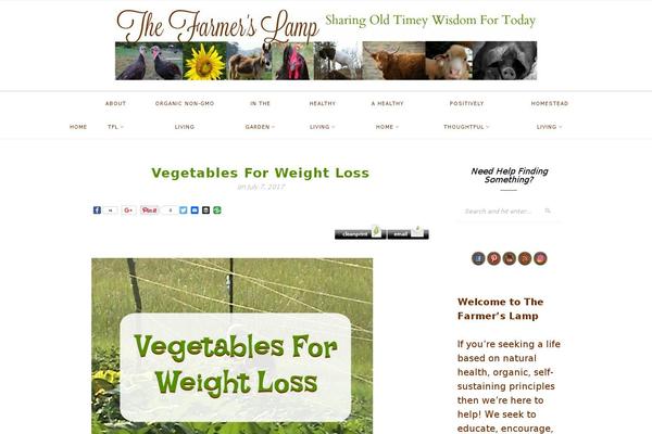 thefarmerslamp.com site used Niche-site-theme