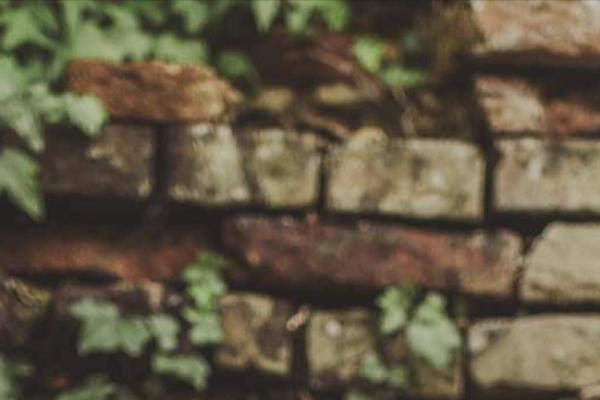 Brooklyn theme site design template sample