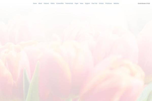 Shoestrap 3 theme site design template sample