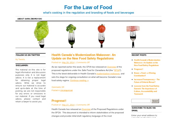 Focusblog theme site design template sample