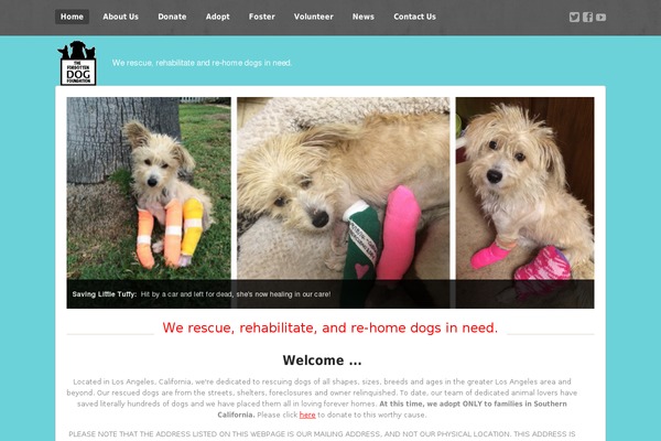 Site using Petfinder Listings plugin