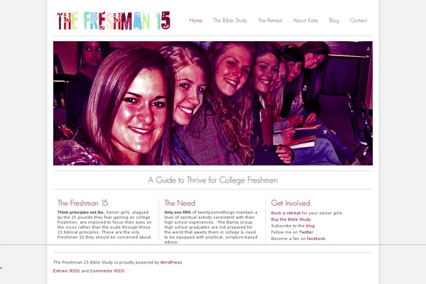 Delericon theme site design template sample