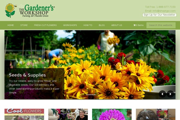 Divi Child theme site design template sample