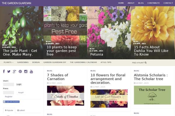tgg theme websites examples