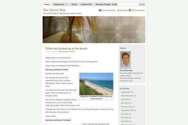Misty Look theme site design template sample