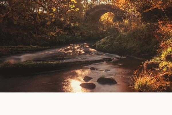 theglenlivet.com site used Global-theme