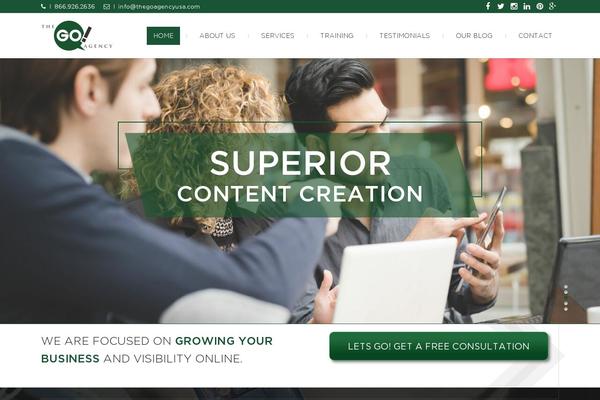thegoagencyusa.com site used Apace