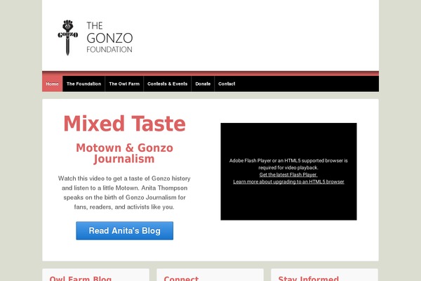 The Story Child theme site design template sample