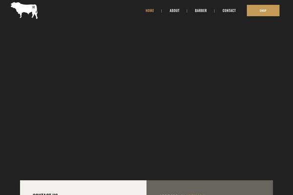 Bridge Child theme site design template sample