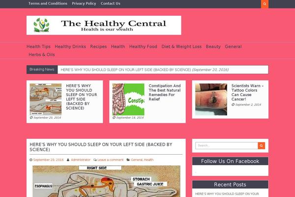 Magzimum theme site design template sample