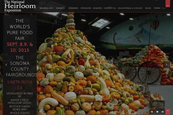Site using Kubio plugin