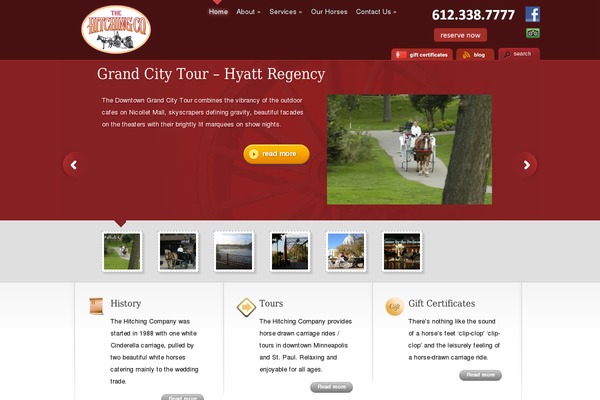 Site using Tourismtiger-analytics-addon plugin