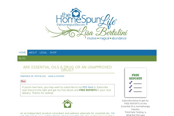 Lifestyle Pro theme site design template sample