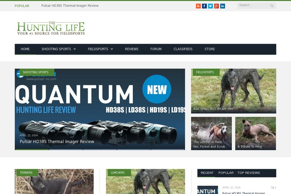 Newspaper theme site design template sample
