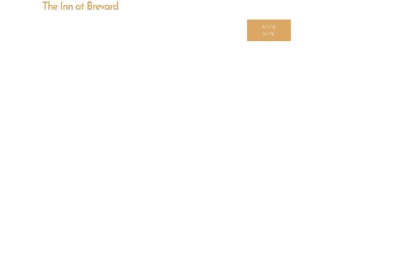 Luxury theme site design template sample