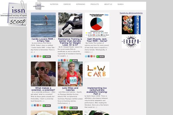 iPin Pro theme site design template sample
