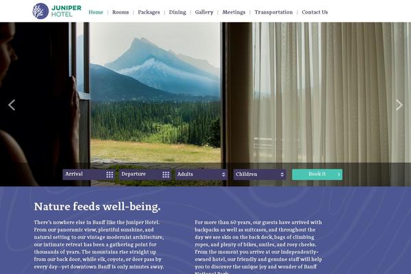 Site using Salient-portfolio plugin