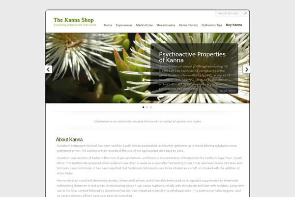 Chameleon Child theme site design template sample