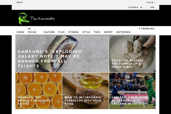 15Zine theme site design template sample