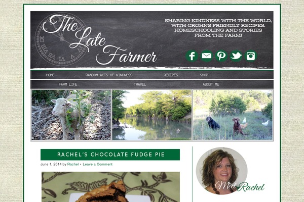 Site using Pinterest Pinboard Widget plugin