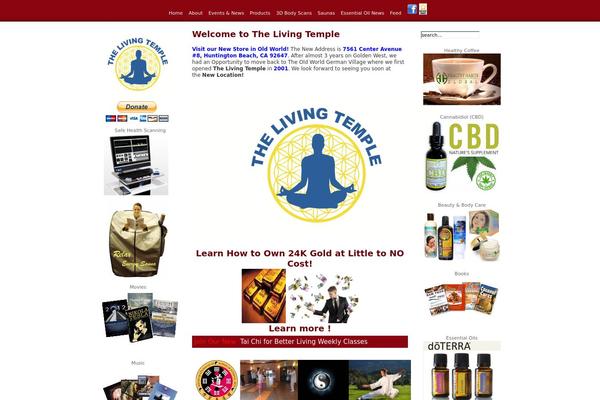 Divi Child theme site design template sample