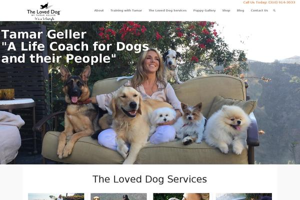 Site using Rapidology plugin