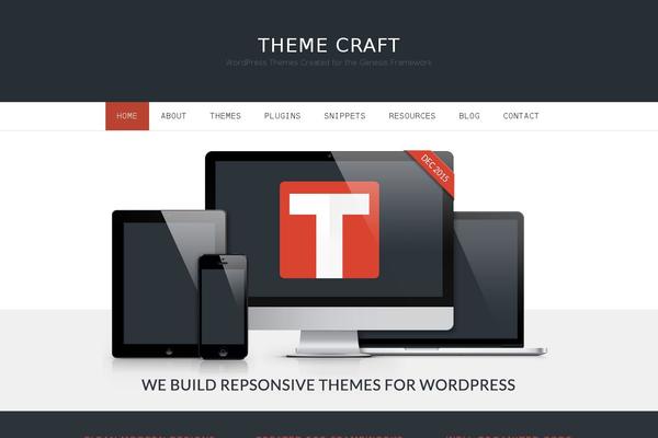 Developer theme websites examples