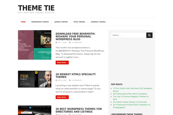 WordPress website example screenshot