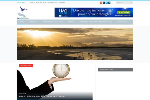 Site using Wp_pro_ad_system plugin