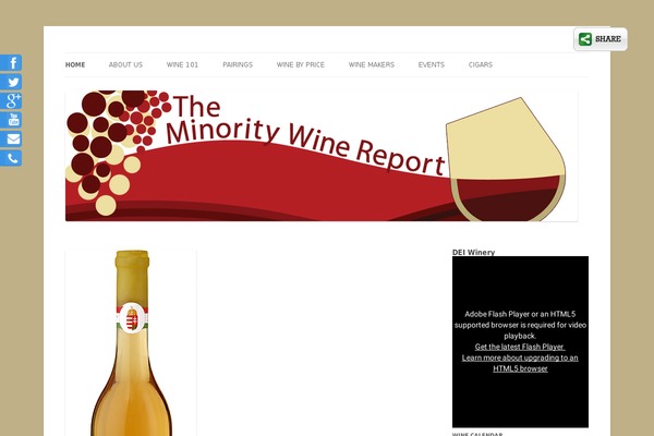 Site using Sliding Social Icons plugin