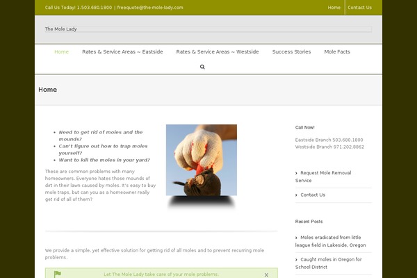 Site using Bbpowerpack plugin